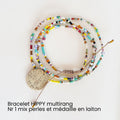 Hippy multirang